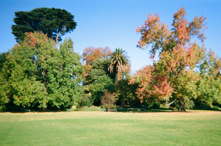 Royal Botanic Garden